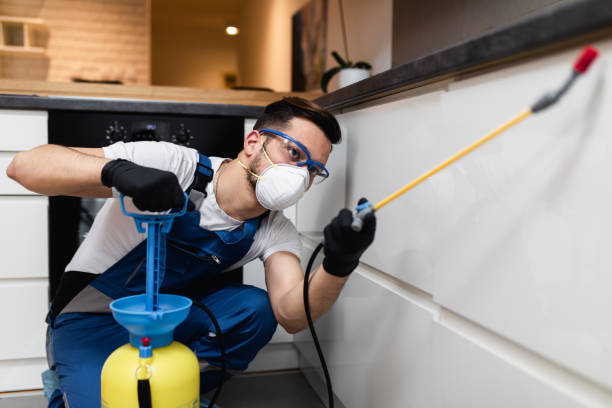 Best Affordable Pest Control Services  in Iuka, MS