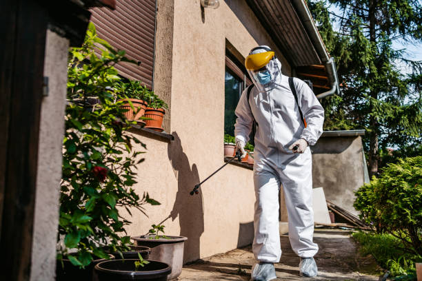 Best Pest Prevention Services  in Iuka, MS