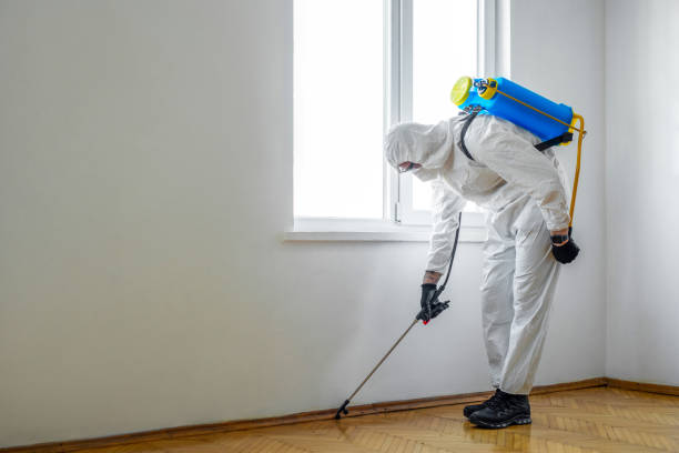 Best Affordable Pest Control Services  in Iuka, MS